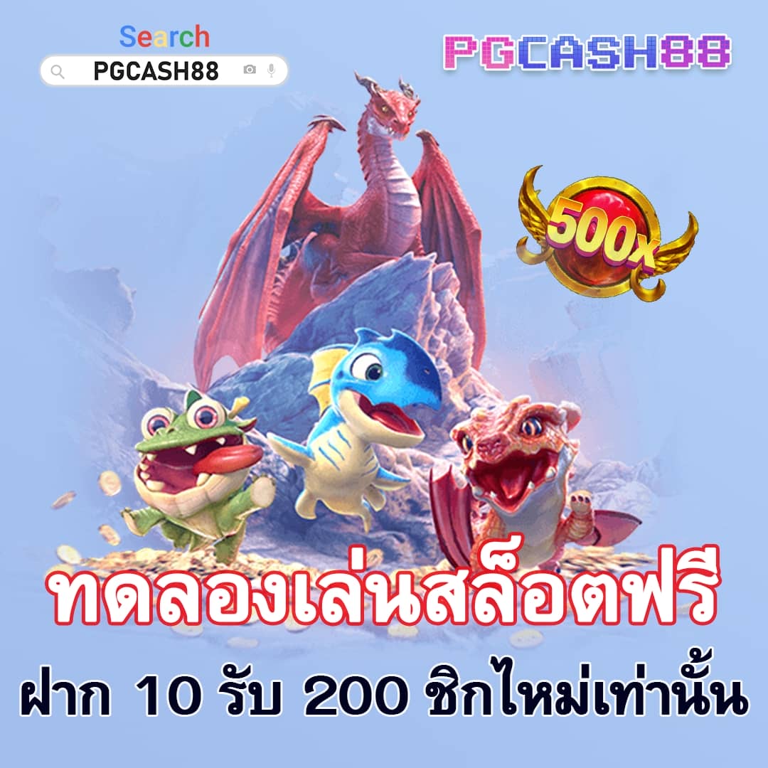 betflik co